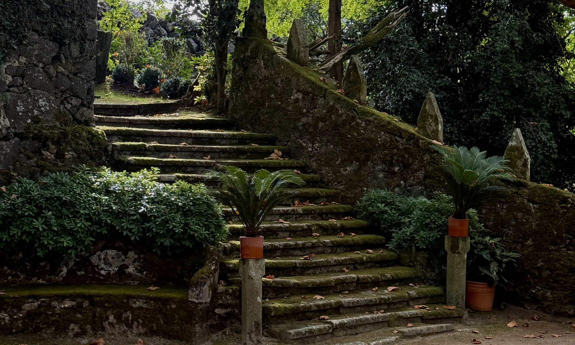 Espacios Pazo de Cea