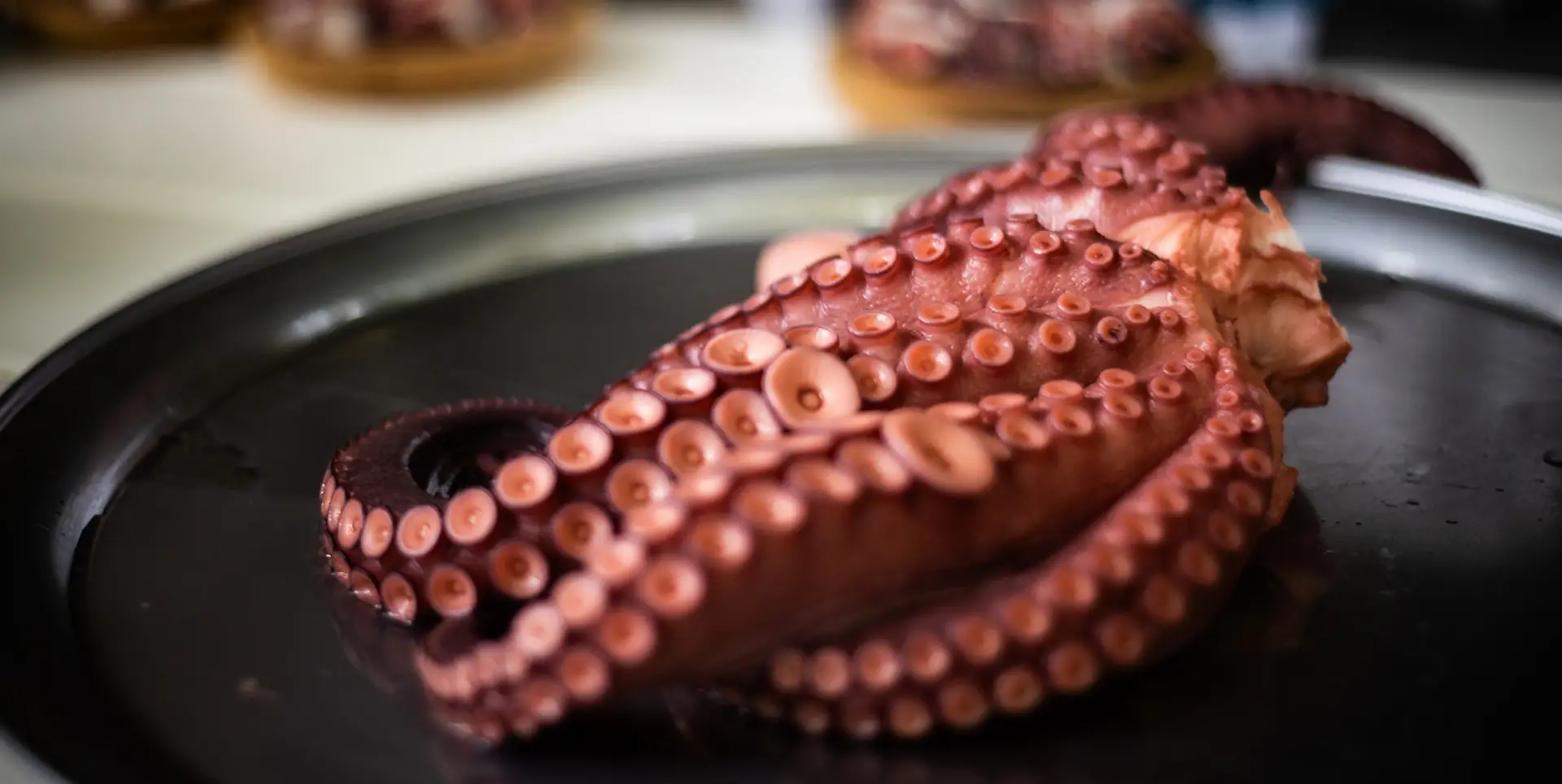 La cocina del Pazo de Cea